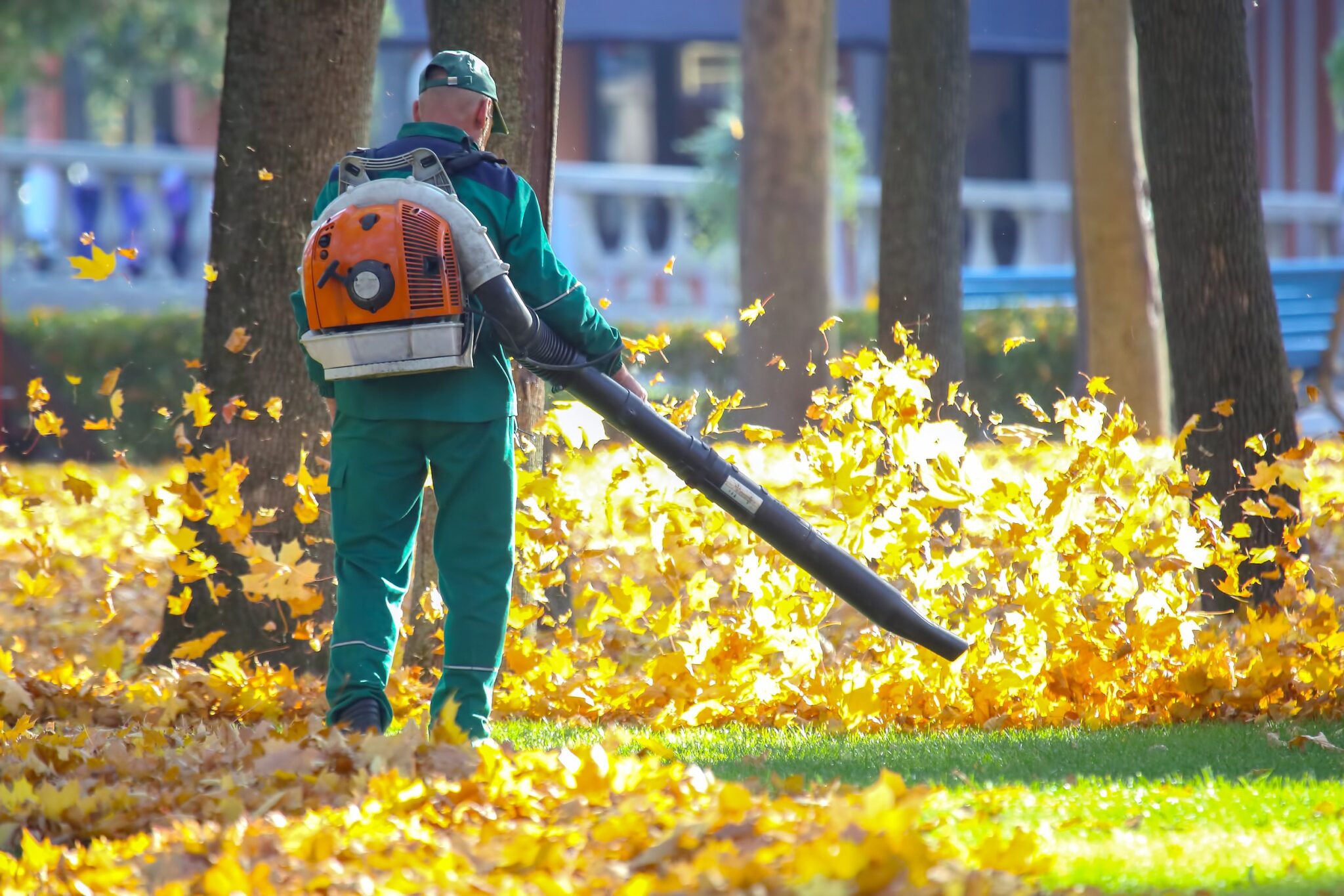 Seasonal lawn cleanups