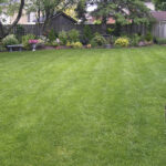 Common Landscape Problems and Solutions