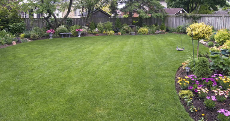 Common Landscape Problems and Solutions