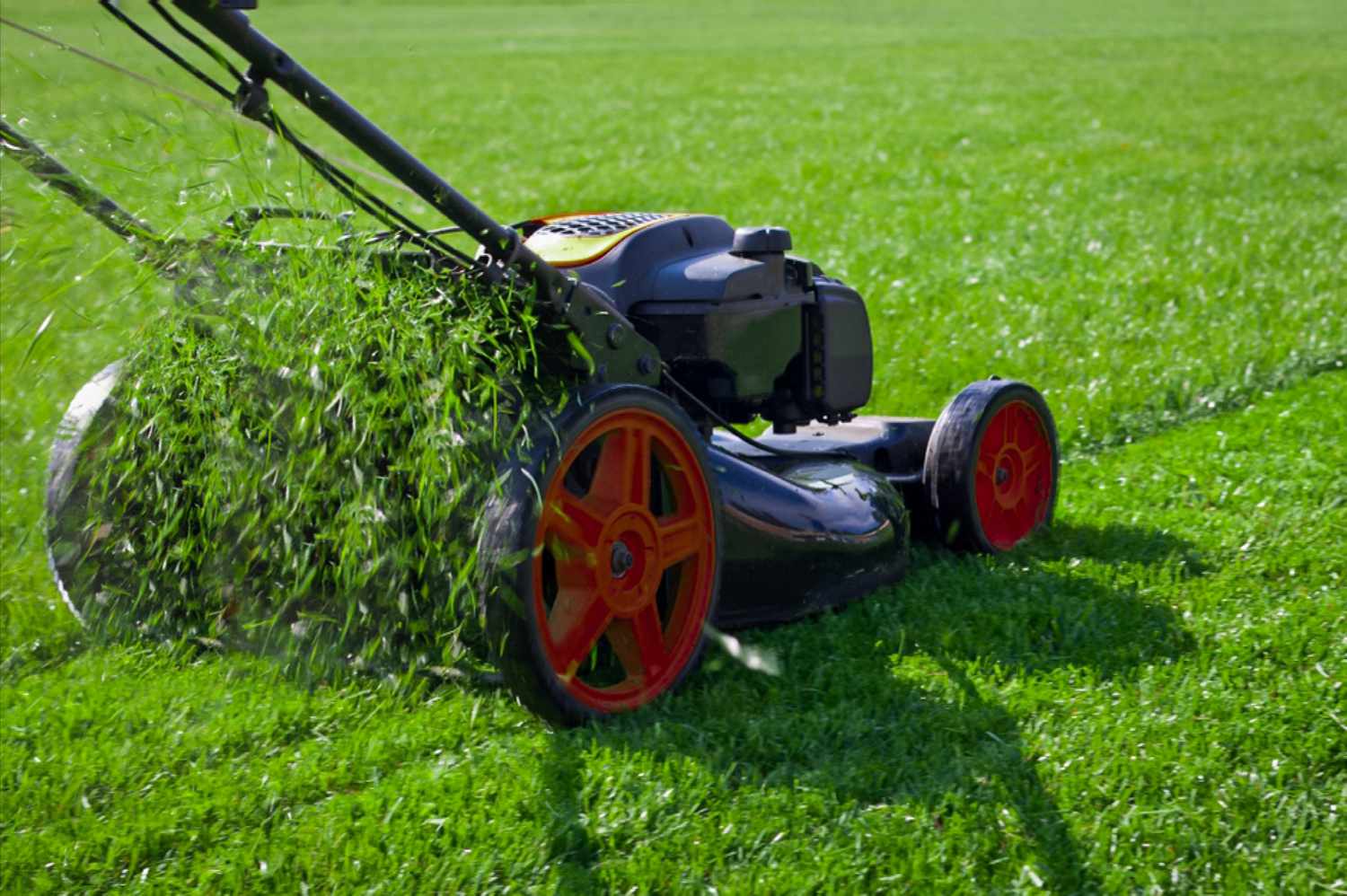 Lawn Mowing Guide