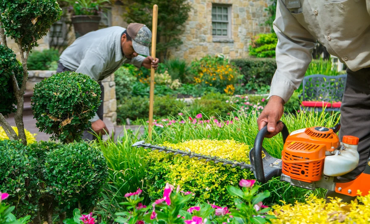 Seasonal Landscape Maintenance Guide