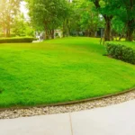 Lawn Edging Techniques