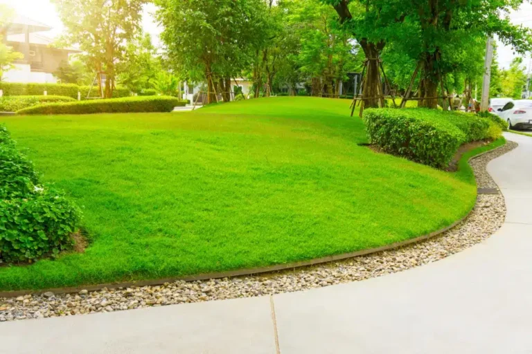 Lawn Edging Techniques